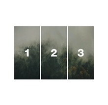 Image murale en trois parties avec un motif de forêt et du brouillard