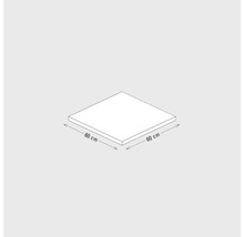 Illustration einer quadratischen Platte mit den Maßen 60 x 60 cm.