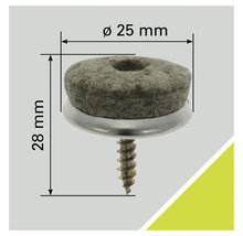 Filzgleiter mit Schraube, Durchmesser 25 Millimeter, Höhe 28 Millimeter