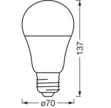 Illustration d'une ampoule avec des dimensions de 137 mm de hauteur et 70 mm de diamètre