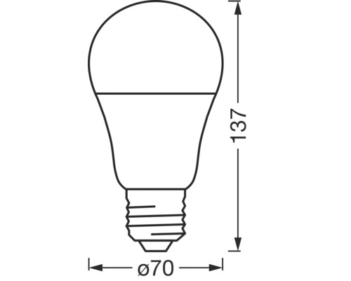 Illustration d'une ampoule avec des dimensions de 137 mm de hauteur et 70 mm de diamètre