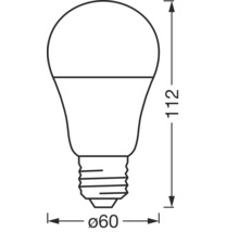Abmessungen einer LED-Lampe mit einem Durchmesser von 60 mm und einer Höhe von 112 mm