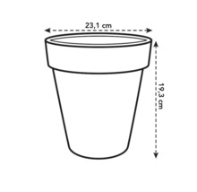 Image d'un pot de fleurs avec des dimensions de 23,1 cm de largeur et 19,3 cm de hauteur