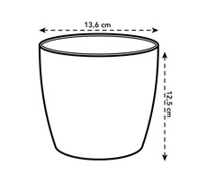 Illustration d'un pot de fleurs avec les dimensions de 13,6 cm de largeur et 12,5 cm de hauteur.
