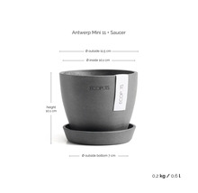 Pot de fleurs Ecopots Antwerp Mini 11 avec soucoupe. Hauteur 10,1 centimètres, diamètre extérieur 11,5 centimètres, volume 0,6 litre. Logo Ecopots.