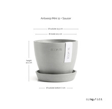 Pot Ecopots Antwerp Mini avec soucoupe, hauteur 10,1 centimètres, diamètre extérieur 11,5 centimètres, diamètre intérieur 10,1 centimètres.