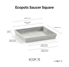 Quadratischer Untersetzer für Pflanztöpfe mit Maßangaben: Länge 22 cm, Breite 22 cm, Höhe 2,6 cm und Innenboden 19,3 cm. Ecopots Logo.