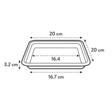 Abbildung mit den Maßen einer Pflanzschale: 20 cm x 20 cm