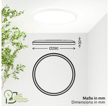 Abmessungen einer runden Deckenleuchte mit einem Durchmesser von 290 Millimetern und einer Höhe von 30 Millimetern