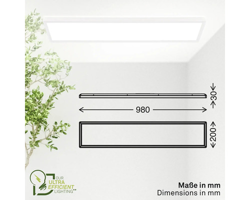 Abbildung der Abmessungen einer LED-Panel Leuchte von 980 mm Länge, 200 mm Breite und 30 mm Höhe.