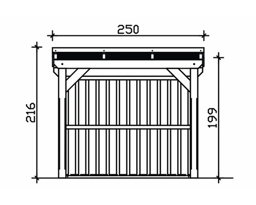 Plan technique d'une cabane de jardin avec dimensions 250 x 216 x 199 centimètres.