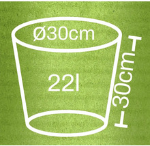 Illustration d'un pot de fleurs avec des dimensions de 30 centimètres de diamètre, 30 centimètres de hauteur et une capacité de 22 litres