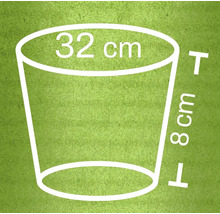 Illustration d'un pot de fleurs avec des dimensions de 32 cm de diamètre et 8 cm de hauteur