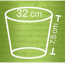 Abmessungsskizze eines Pflanzgefäßes: 32 cm Durchmesser oben und 7,5 cm Höhe.