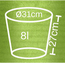 Abmessungsskizze Pflanzkübel: Durchmesser 31 cm, Höhe 27 cm, Volumen 8 Liter