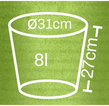 Grafik mit den Maßen eines Blumentopfes: 31 Zentimeter Durchmesser, 27 Zentimeter Höhe, 8 Liter Volumen