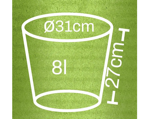Grafik mit den Maßen eines Blumentopfes: 31 Zentimeter Durchmesser, 27 Zentimeter Höhe, 8 Liter Volumen