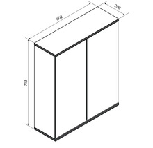 Dessin technique d'une armoire à deux portes avec les dimensions 602 millimètres de largeur, 713 millimètres de hauteur et 200 millimètres de profondeur.