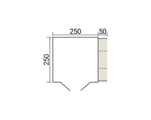 Dessin technique d un plan d étage carré avec des dimensions de 250 sur 250 centimètres plus un élément annexe de 50 centimètres de largeur.