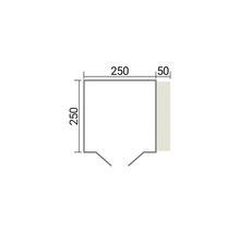 Dessin technique avec des dimensions de 250 par 250 millimètres et une zone supplémentaire de 50 millimètres de large.