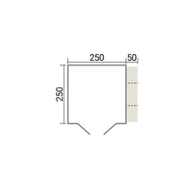 Dessin technique d un plan avec des dimensions de 250 par 250 centimètres et une extension de 50 centimètres.