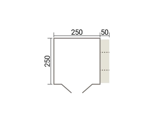 Dessin technique d un plan avec des dimensions de 250 par 250 centimètres et une extension de 50 centimètres.