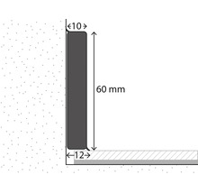 Profilzeichnung einer Sockelleiste mit Maßen: Höhe 60 Millimeter, obere Stärke 10 Millimeter, untere Stärke 12 Millimeter.