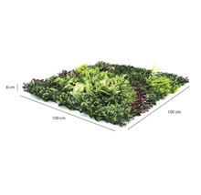 Mur végétal artificiel avec différents types de feuilles, dimensions 100 par 100 centimètres, profondeur 8 centimètres.