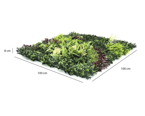 Mur végétal artificiel avec différents types de feuilles, dimensions 100 par 100 centimètres, profondeur 8 centimètres.