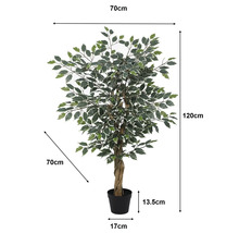 Künstlicher Ficus Benjamina mit gedrehtem Stamm. Höhe 120 Zentimeter, Breite 70 Zentimeter. Topf: Höhe 13,5 Zentimeter, Durchmesser 17 Zentimeter.