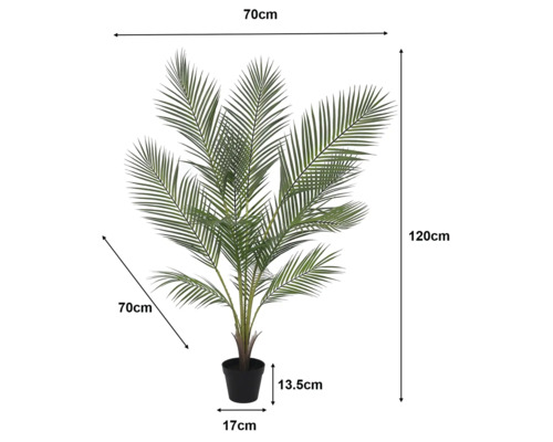 Künstliche Palme im schwarzen Topf mit Maßangaben: Höhe 120 Zentimeter, Breite 70 Zentimeter, Topfhöhe 13,5 Zentimeter, Topfdurchmesser 17 Zentimeter.
