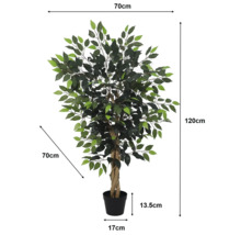 Künstliche Ficus-Pflanze im Topf mit Maßangaben: Höhe 120 Zentimeter, Breite 70 Zentimeter, Topfhöhe 13,5 Zentimeter, Topfdurchmesser 17 Zentimeter.