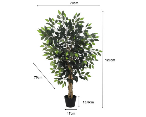 Künstliche Ficus-Pflanze im Topf mit Maßangaben: Höhe 120 Zentimeter, Breite 70 Zentimeter, Topfhöhe 13,5 Zentimeter, Topfdurchmesser 17 Zentimeter.