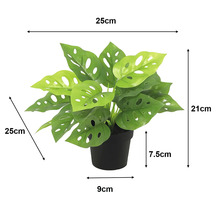Künstliche Monstera im schwarzen Kunststofftopf, Breite 25 Zentimeter, Höhe 21 Zentimeter, Tiefe 25 Zentimeter.