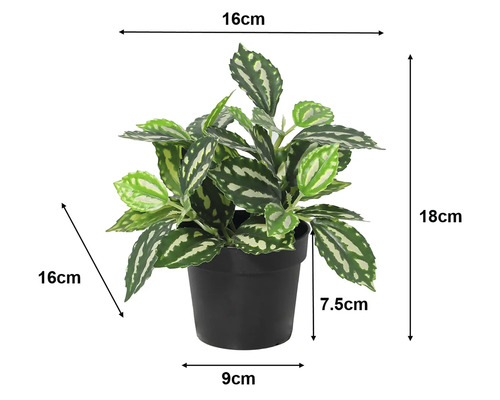 Künstliche Pilea-Pflanze im schwarzen Topf mit Maßangaben: Gesamthöhe 18 Zentimeter, Breite 16 Zentimeter, Topfhöhe 7,5 Zentimeter.
