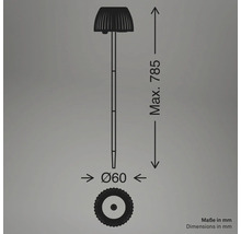 Dessin technique d'une lampe solaire avec une hauteur maximale de 785 millimètres et un diamètre de 60 millimètres.