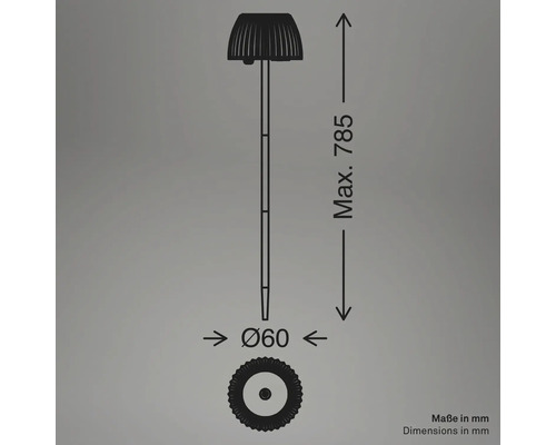 Dessin technique d'une lampe solaire avec une hauteur maximale de 785 millimètres et un diamètre de 60 millimètres.