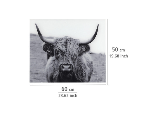 Wandbild mit schottischem Hochlandrind, 60 x 50 cm