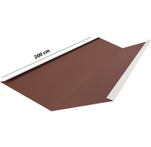 Dachblech, 200 cm lang