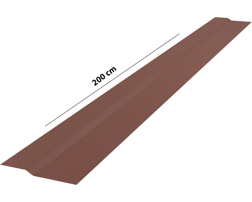 Profilé de bord de toit en métal, longueur 200 cm