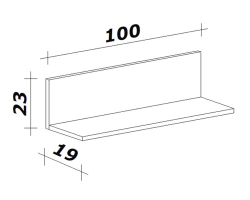 Technische Zeichnung eines Wandregals mit den Maßen 100 x 23 x 19