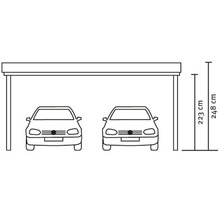 Doppelcarport SKAN HOLZ Emsland 613x604 cm mit EPDM-Folie natur