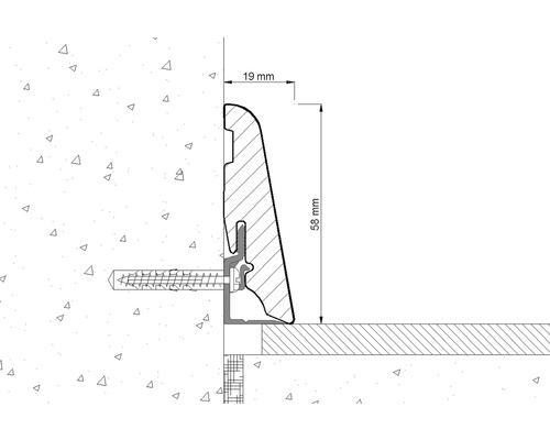 Coupe transversale d''une plinthe avec des dimensions de 19 mm et 58 mm