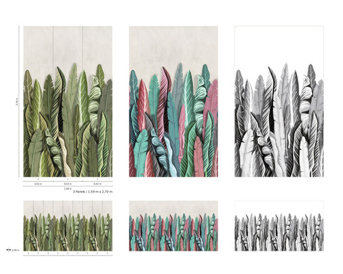 Illustration de panneaux de papier peint avec des motifs de feuilles tropicales dans différentes variantes de couleurs.