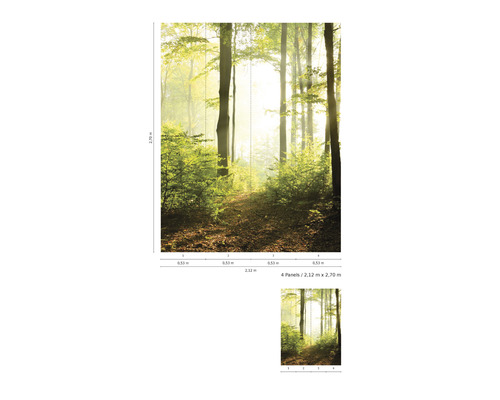 Papier peint photo forêt avec arbres et feuilles, 2,12 mètres x 2,70 mètres