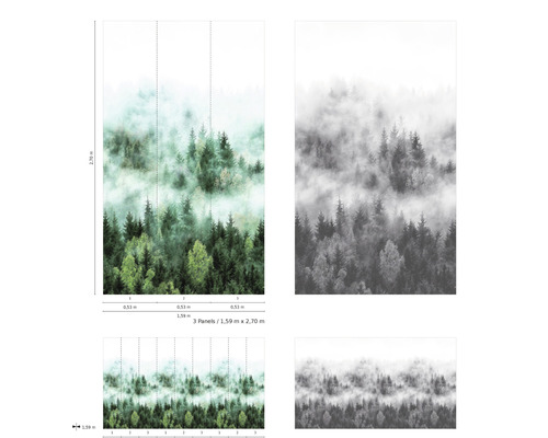 Papier peint photo avec motif de forêt et brouillard