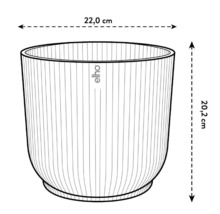 Illustration d''un pot de fleurs mesurant 22,0 cm de large et 20,2 cm de haut