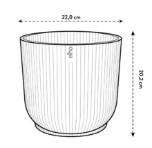 Illustration eines runden Pflanzgefäßes mit den Maßen 22,0 cm Durchmesser und 20,2 cm Höhe