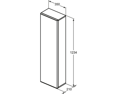 Technische Zeichnung eines Badschranks mit den Maßen 350 x 210 x 1234 Millimeter.