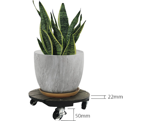 Support à plantes avec plante en pot